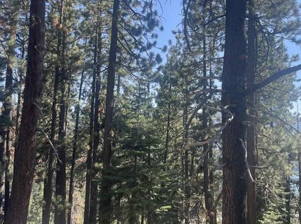 12552 Richards Boulevard, Truckee, CA 96161 Photo