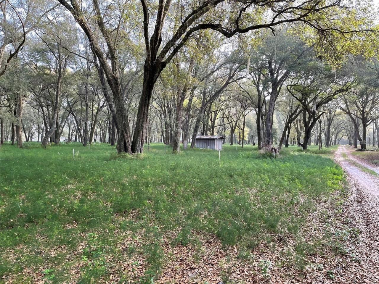 1494 Tilly Byrd Road, Seville, FL 32190 Photo