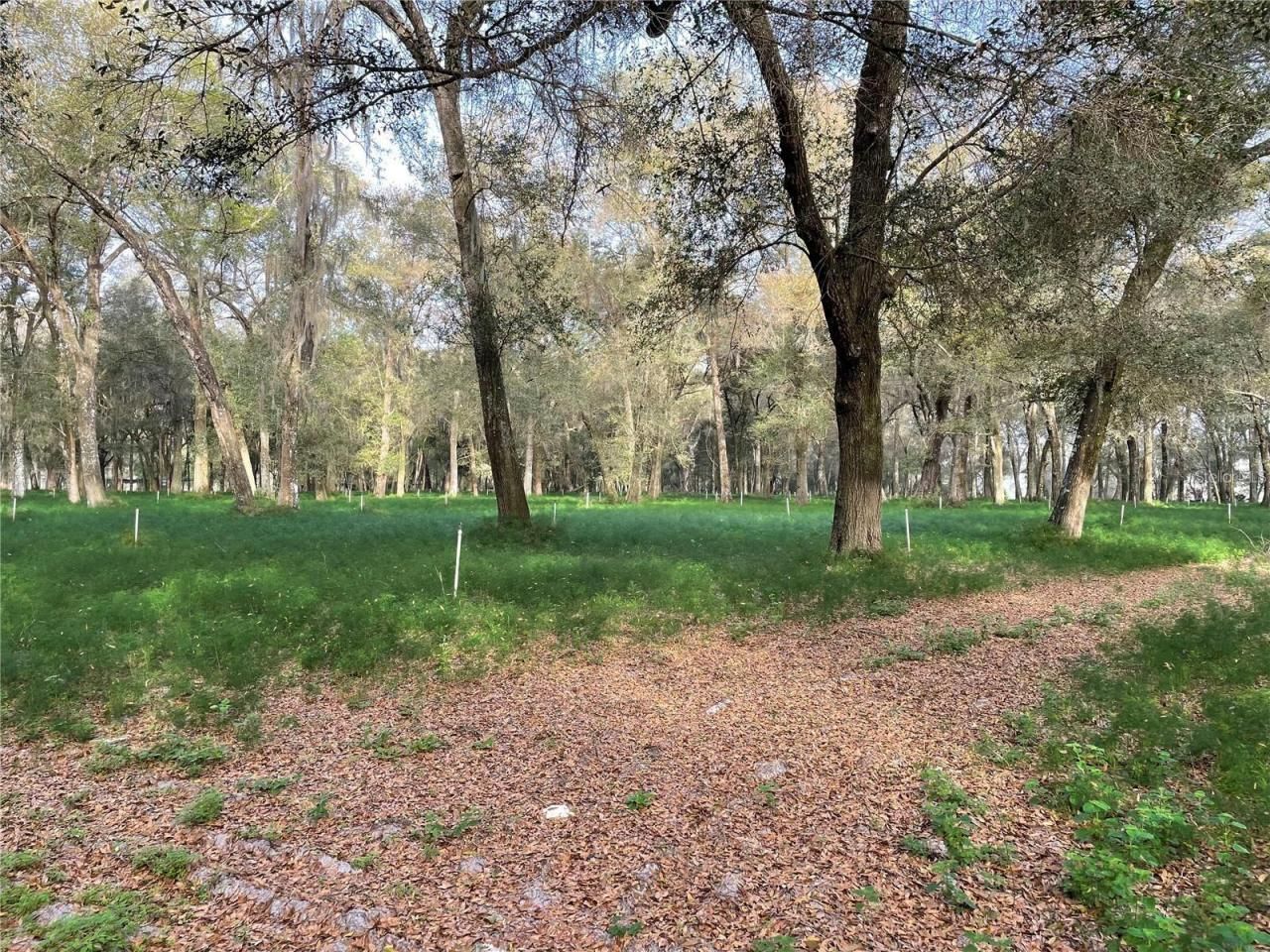 1494 Tilly Byrd Road, Seville, FL 32190 Photo