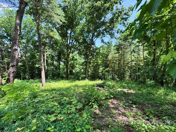 VL W Irving Road, Hastings, MI 49058