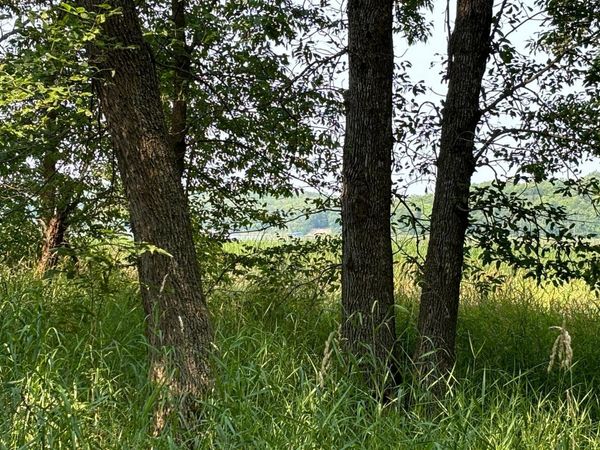 1250 Island Lake Resort Drive, Lengby, MN 56651