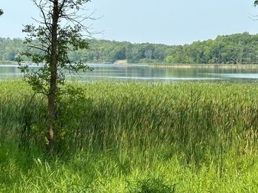 1254 Island Lake Resort Drive, Lengby, MN 56651