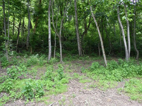 0 Turkey Creek Hwy, Carthage, TN 37030