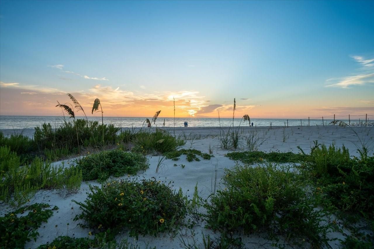 20052 Gulf Boulevard, Indian Shores, FL 33785 Photo