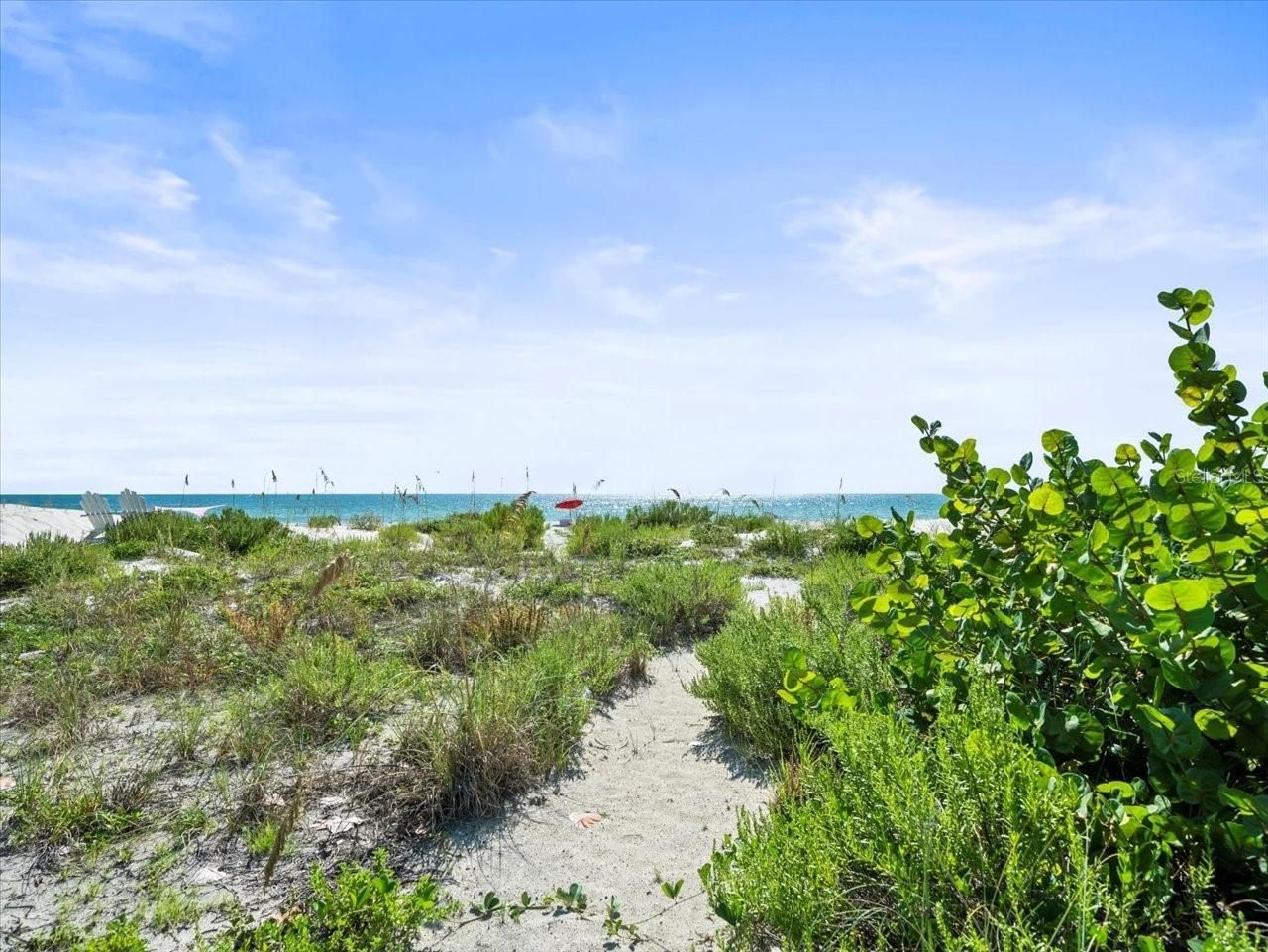 20052 Gulf Boulevard, Indian Shores, FL 33785 Photo