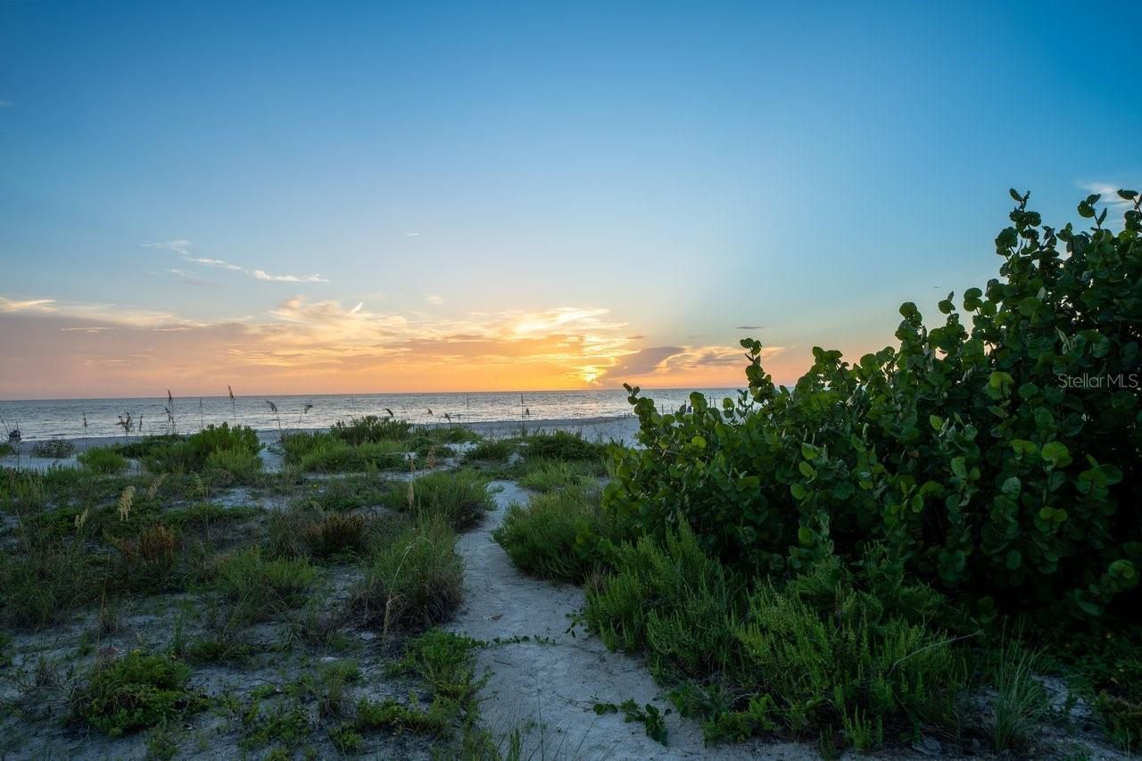 20051 Gulf Boulevard, Indian Shores, FL 33785 Photo