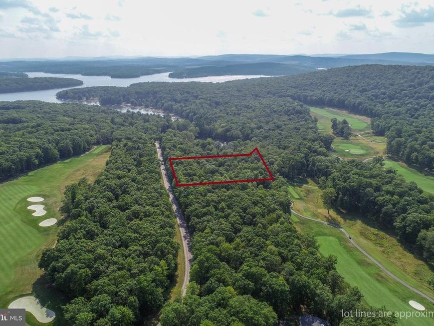 Poland Run View West Lot 1 Thousand Acres Road, Swanton, MD 21561 Main Photo
