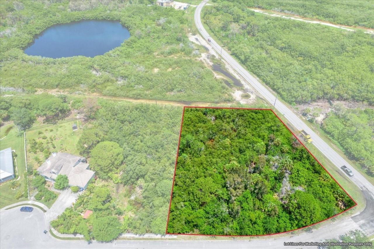 Osceola Court Ne, Saint Petersburg, FL 33702 Photo