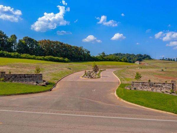 Lot 69 Vista Ridge Drive, White Pine, TN 37890