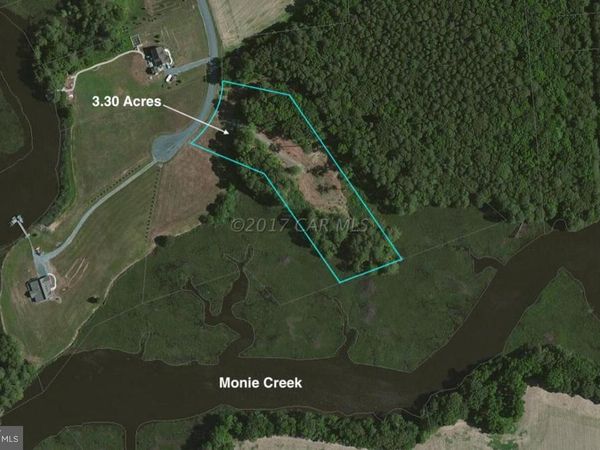 12485 MALLARD LANE, PRINCESS ANNE, MD 21853