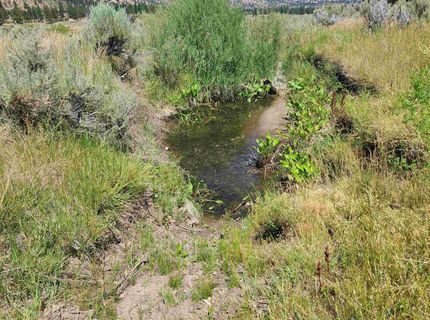 414-000 Scott Road, Doyle, CA 96109 Photo