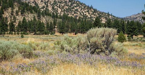 414-000 Scott Road, Doyle, CA 96109 Photo