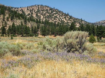 414-000 Scott Road, Doyle, CA 96109 Photo