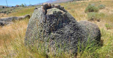 414-000 Scott Road, Doyle, CA 96109 Photo