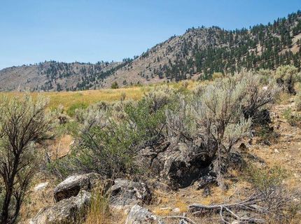 414-000 Scott Road, Doyle, CA 96109 Photo