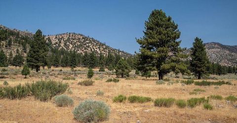 414-000 Scott Road, Doyle, CA 96109 Photo