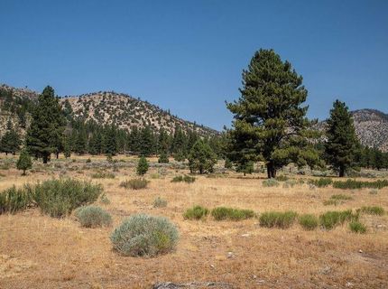 414-000 Scott Road, Doyle, CA 96109 Photo