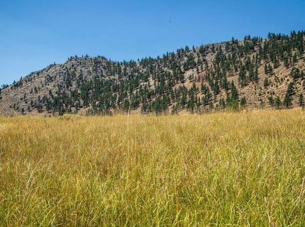 414-000 Scott Road, Doyle, CA 96109 Photo
