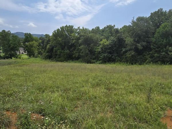 1 Redbird Ridge, Johnson City, TN 37604