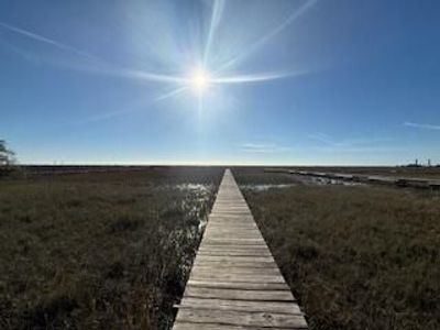 0 Hammocks Way, Edisto Island, SC 29438