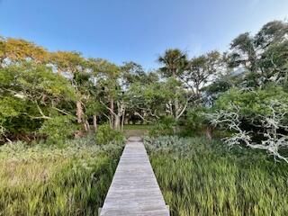 0 Hammocks Way Photo 10