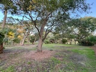 0 Hammocks Way Photo 16