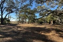 0 Hammocks Way photo 4