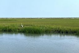 0 Hammocks Way photo 4