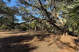 0 Hammocks Way photo 4