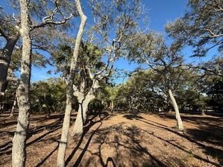 0 Hammocks Way Photo 5