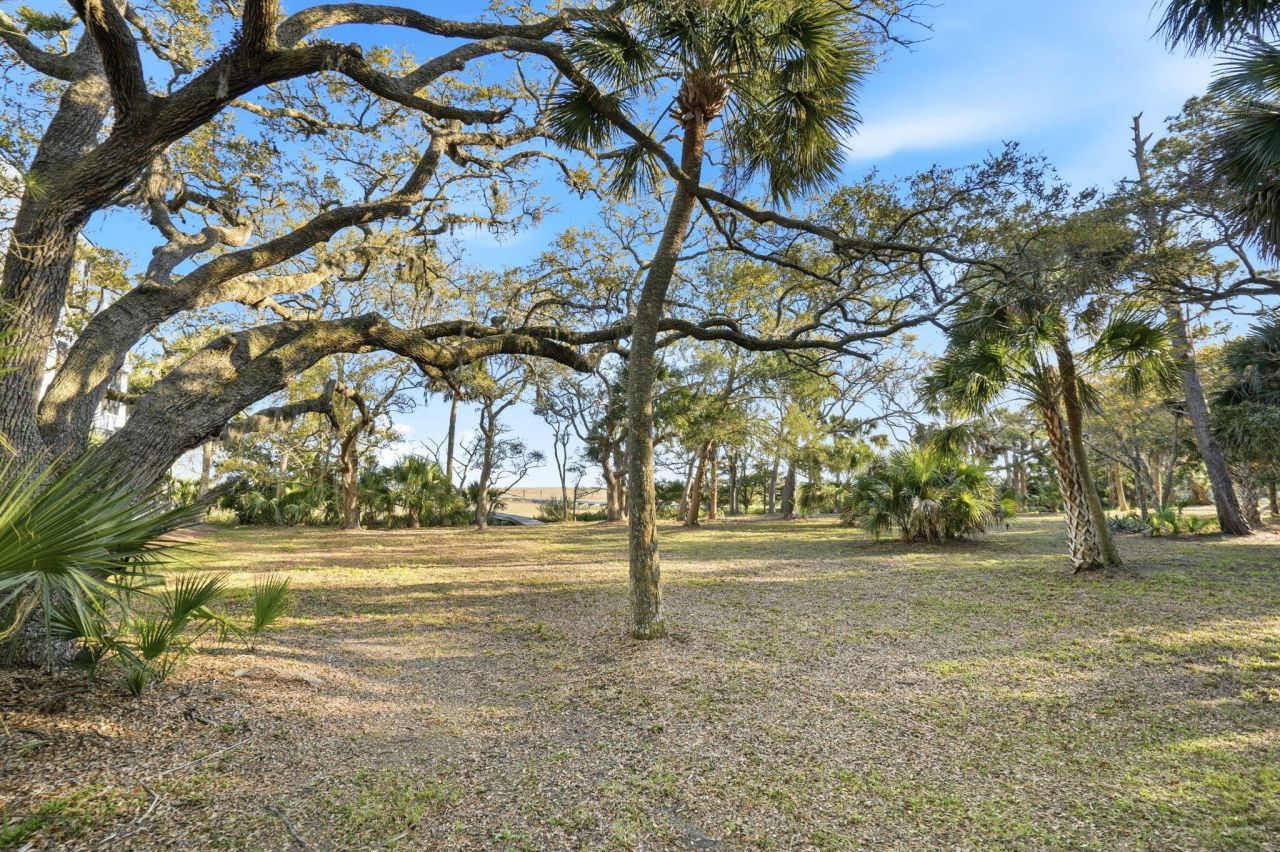 0 Hammocks Way Photo 6