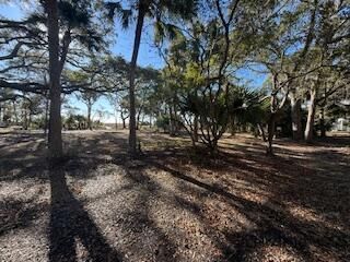 0 Hammocks Way Photo 6