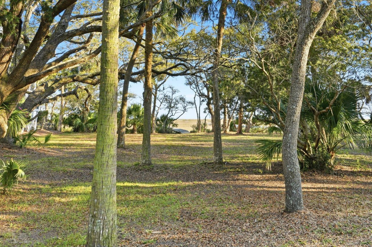 0 Hammocks Way Photo 7