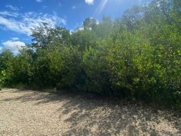 78 Otter Avenue, FL 00000