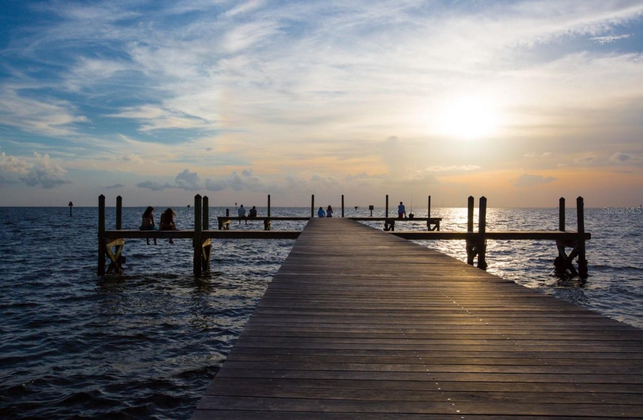 3226 Mangrove Point Drive, Ruskin, FL 33570 Photo