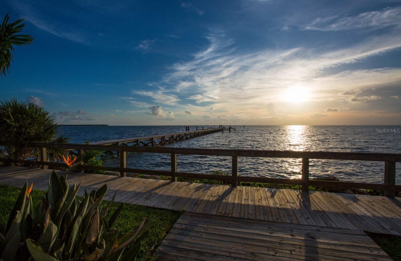 3226 Mangrove Point Drive, Ruskin, FL 33570 Photo