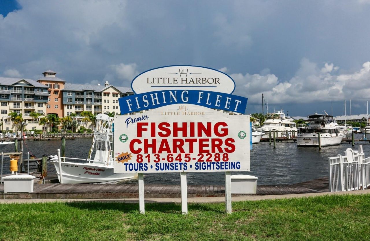 3226 Mangrove Point Drive, Ruskin, FL 33570 Photo