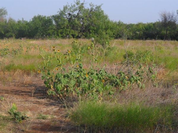 TBD FM1750 FM 1750, Abilene, TX 79602