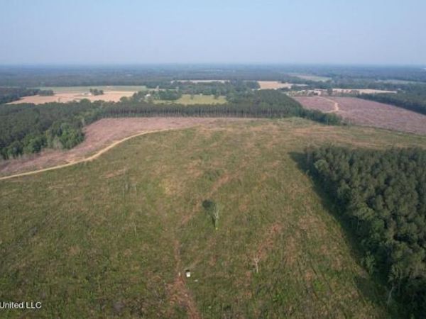 Mink Branch Road, Pelahatchie, MS 39145