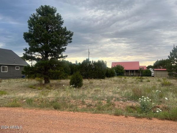 2222 SITGREAVES Drive, Unit 270, Overgaard, AZ 85933