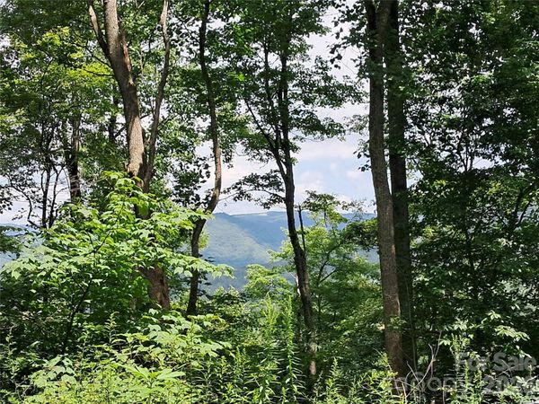 00 Hurricane Ridge Trace, Clyde, NC 28721
