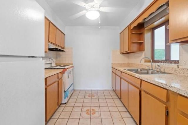 1404 E Alfred Street, Tavares, FL 32778 Photo