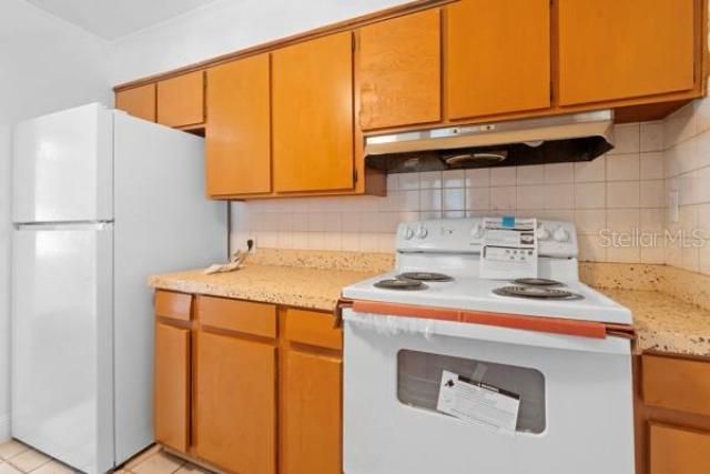 1404 E Alfred Street, Tavares, FL 32778 Photo
