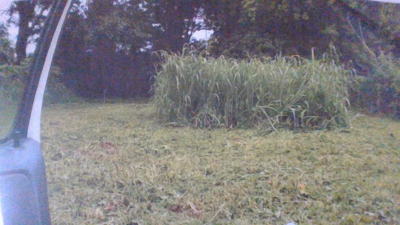 1500 Estill St, Memphis, TN 38109 Main Photo