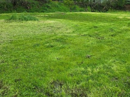 105 Bryson Dr, Sutter Creek, CA 95685 Photo