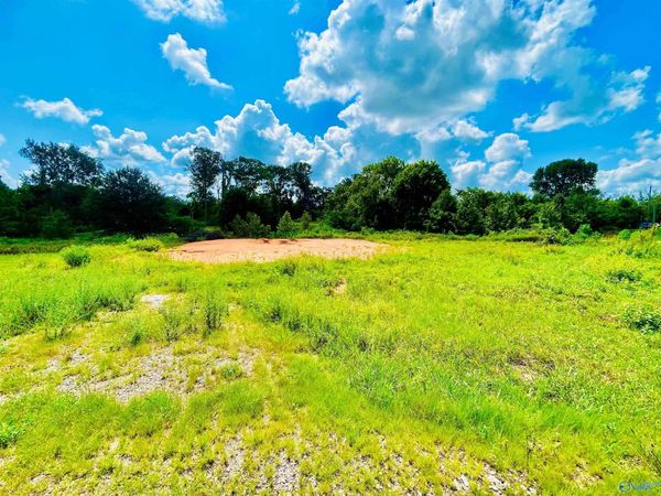 100 Spring Valley Drive, Danville, AL 35619