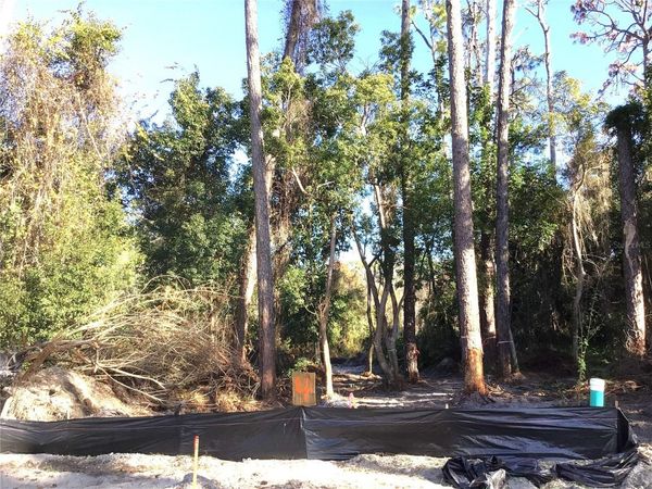 1305 ALMARIA COURT, PALM HARBOR, FL 34683