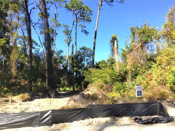 1299 ALMARIA COURT, PALM HARBOR, FL 34683