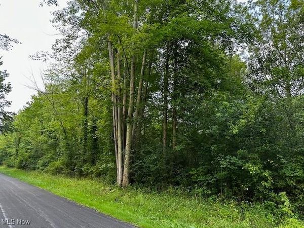 Highland Avenue, Saybrook, OH 44004