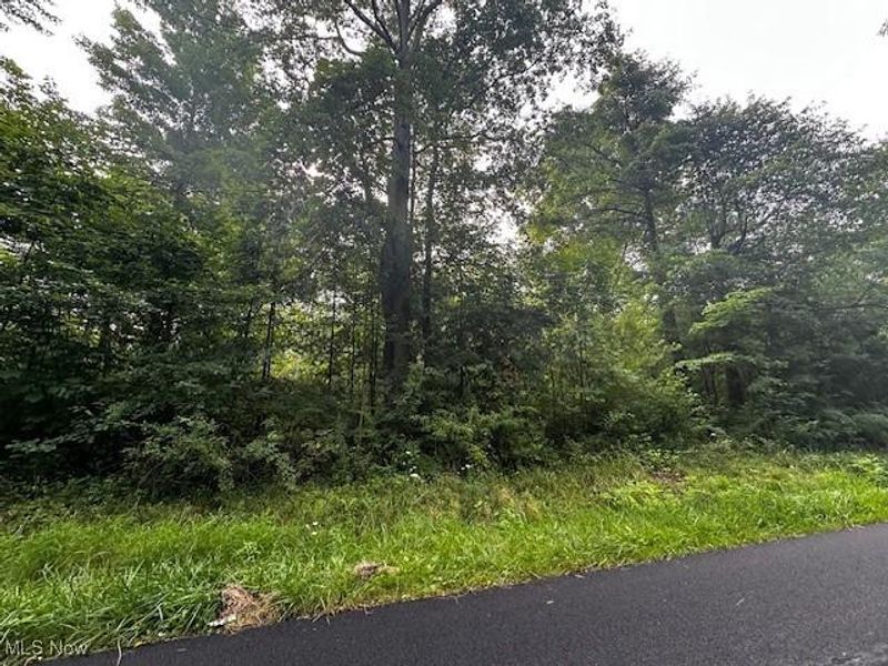 Highland Avenue, Saybrook, OH 44004 Photo 2